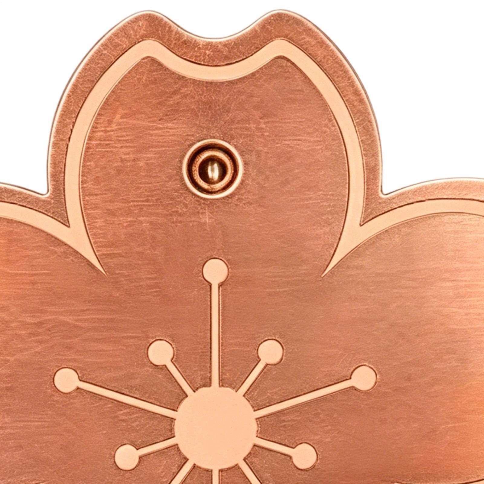 Placa de cobre purificadora se - Watch S reseña y precio