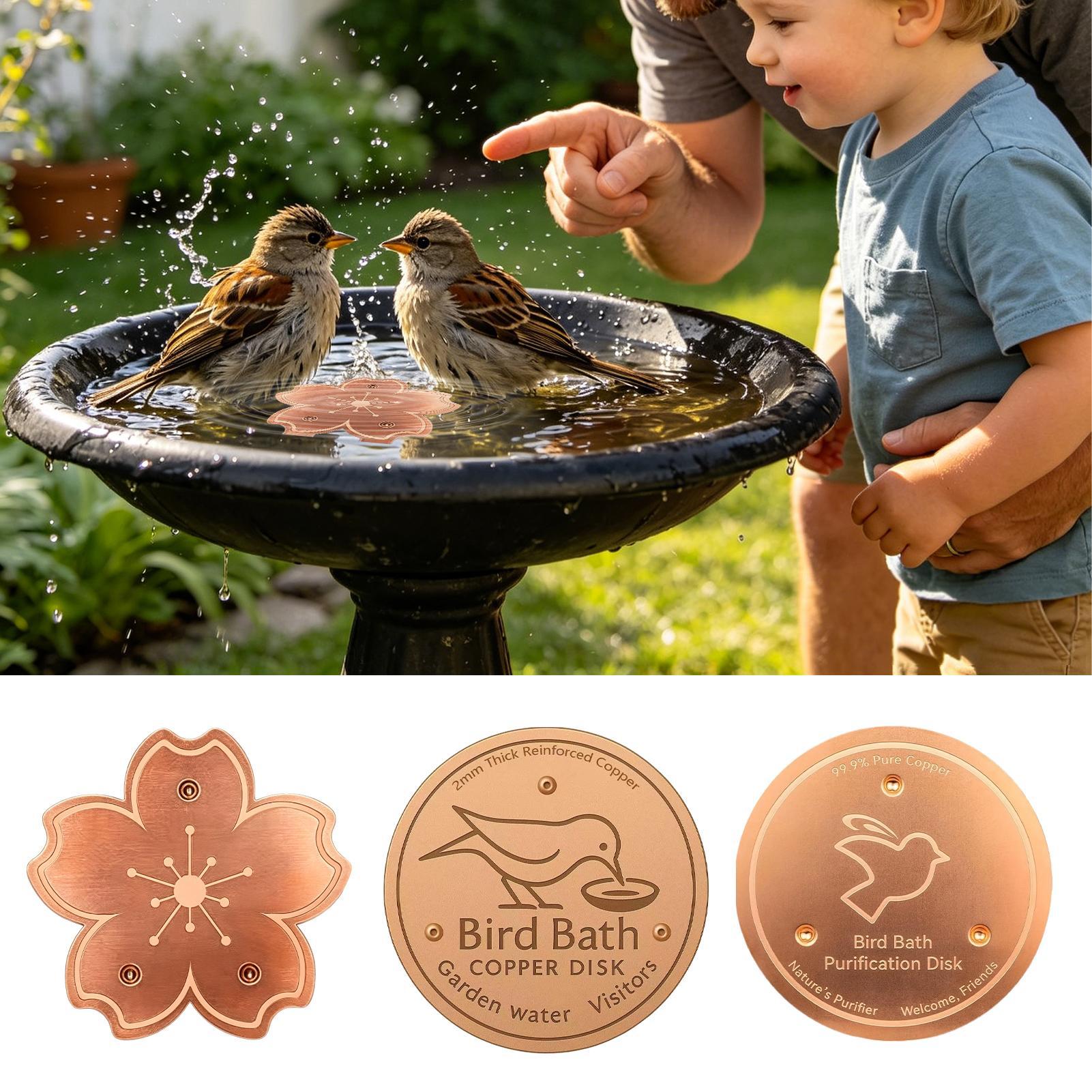 Placa de cobre purificadora se - Watch S reseña y precio